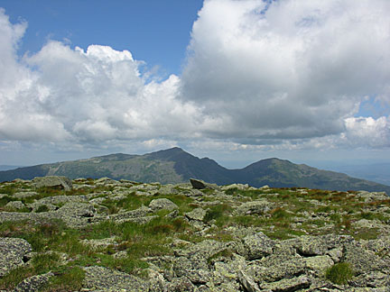 27nelsoncrag