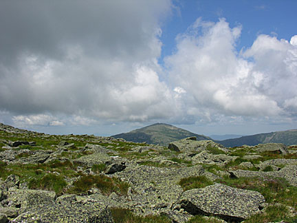 28nelsoncrag