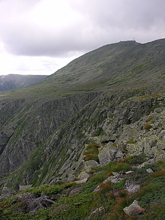 36nelsoncrag