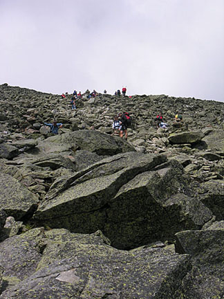 46nelsoncrag