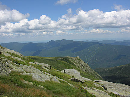50nelsoncrag