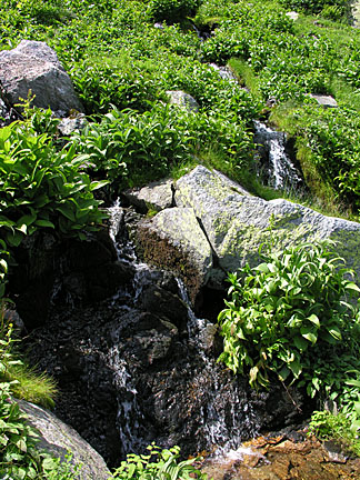 52nelsoncrag