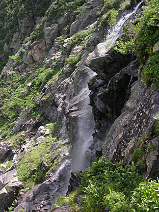 55nelsoncrag