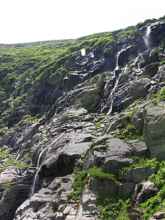 56nelsoncrag