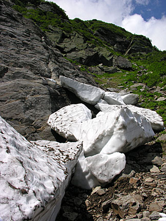 59nelsoncrag