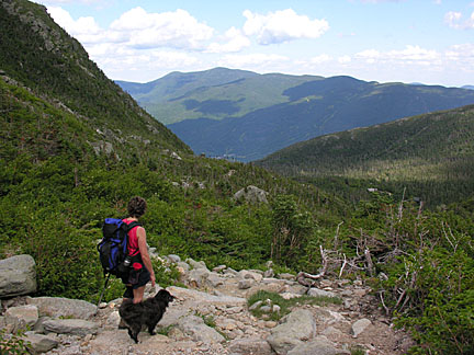 60nelsoncrag