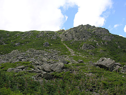 61nelsoncrag