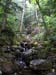 05nelsoncrag