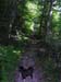 10nelsoncrag