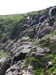 56nelsoncrag