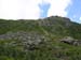 61nelsoncrag