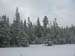 13northkinsman31807