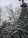 17northkinsman31807