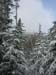 18northkinsman31807