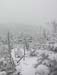 23northkinsman31807