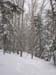 31northkinsman31807