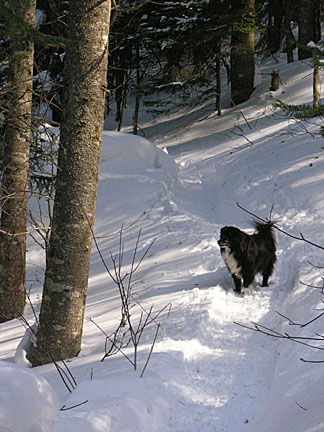 03skwaumbek31007