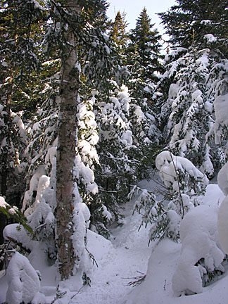 05skwaumbek31007