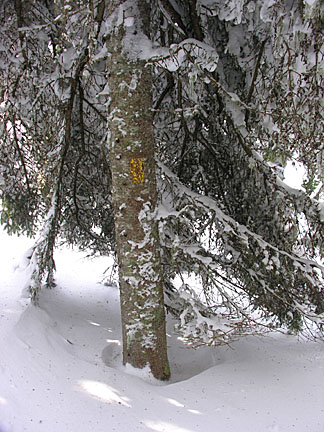 08skwaumbek31007