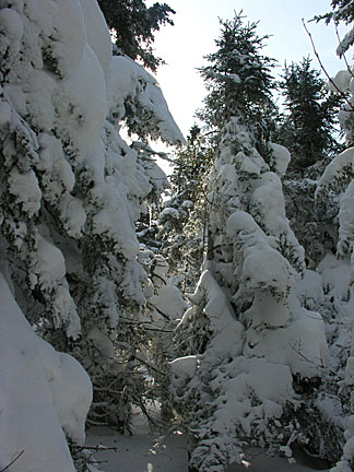 09skwaumbek31007