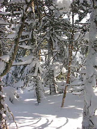 14skwaumbek31007