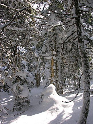 15skwaumbek31007