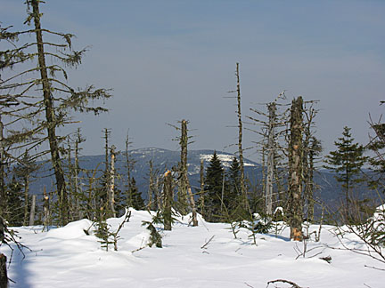 17skwaumbek31007