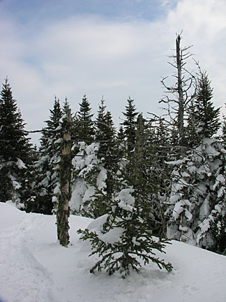 24skwaumbek31007
