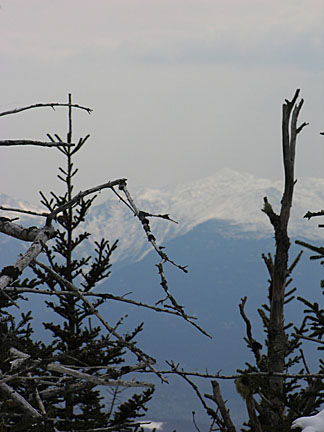 25skwaumbek31007