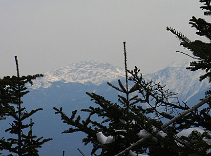 26skwaumbek31007